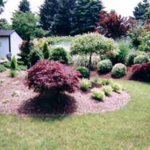 Yard-expectations2